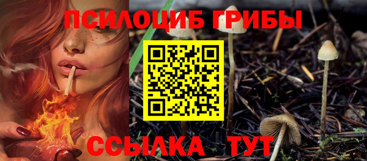 Заречный  Галлюциногенные грибы мицелий  Галлюциногенные грибы GOLDEN TEACHER  Вход с VPN 